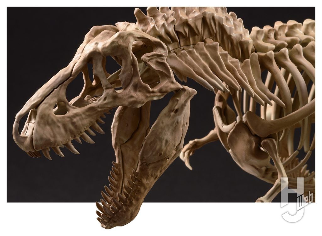 ティラノサウルス横顔アップ