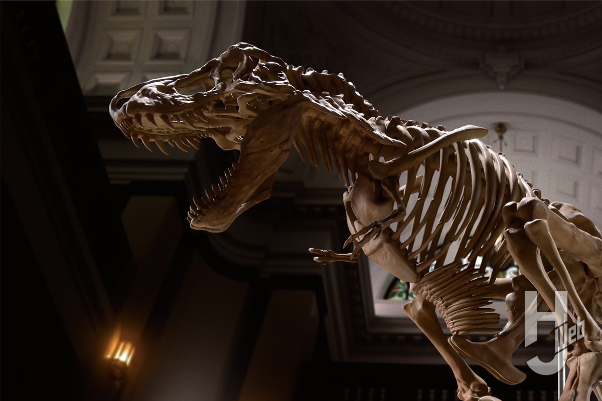 Imaginary Skeleton ティラノサウルスで博物館風のディオラマを製作【澤武慎一郎】