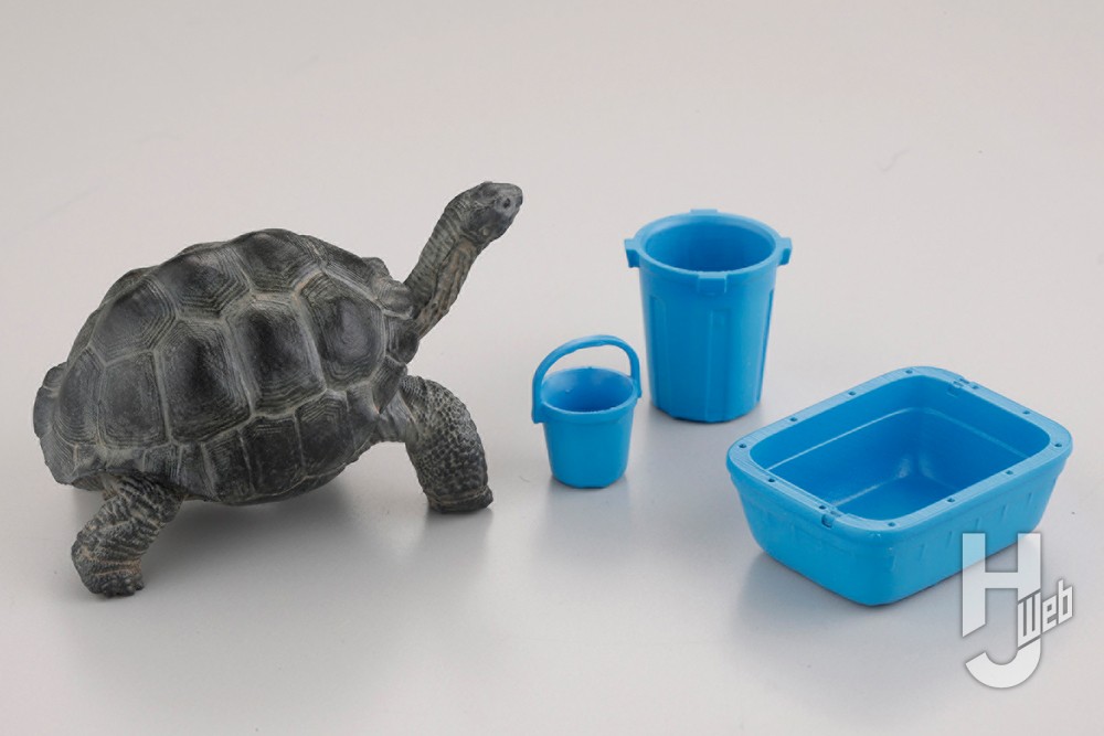 ゾウガメとプラスチック製のバケツ3個の画像