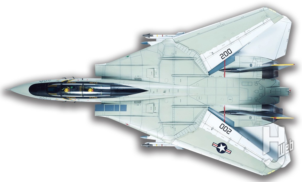 タミヤの傑作キット1/48スケール「F-14Aトムキャット」の攻略法をご