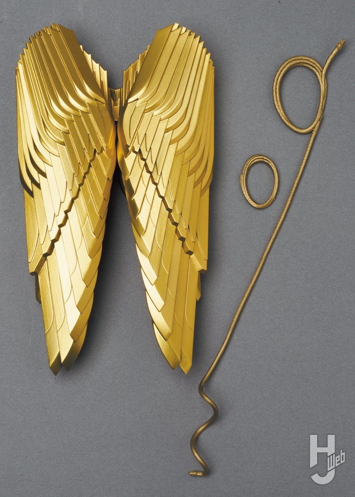 ワンダーウーマンの翼パーツとヘスティア（真実）の縄の画像
