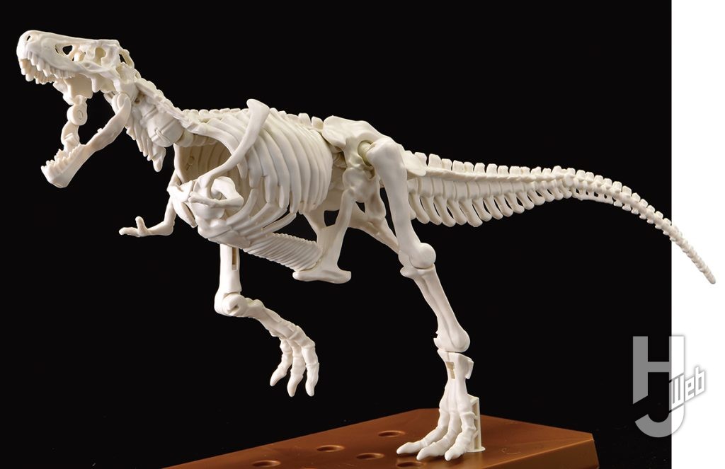 組み立てた骨格ティラノサウルス