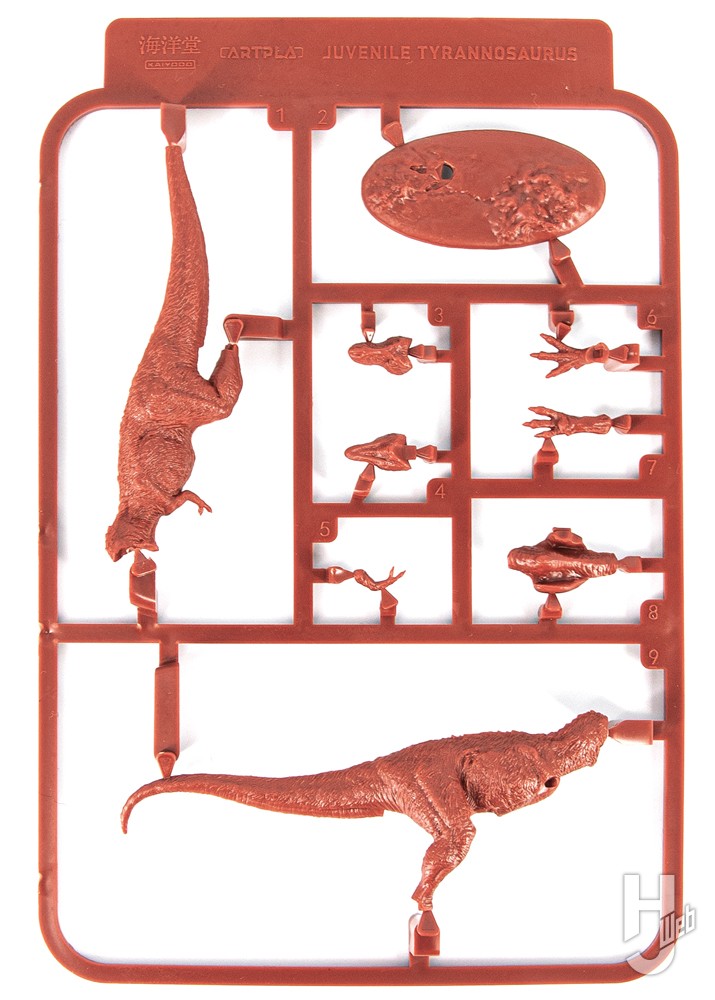 ティラノサウルスのランナーの画像