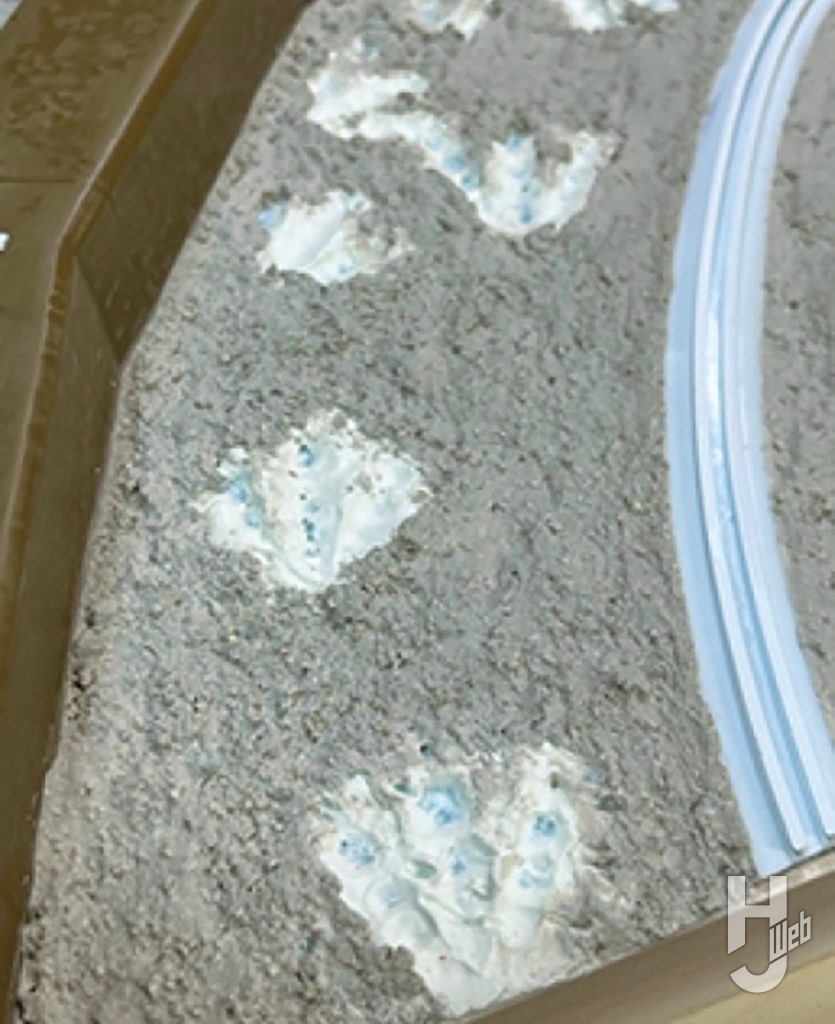 石粉粘土プルミエで足跡を再現している画像2