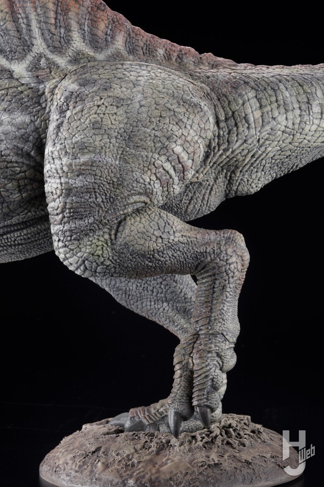スピノサウルスの足の画像