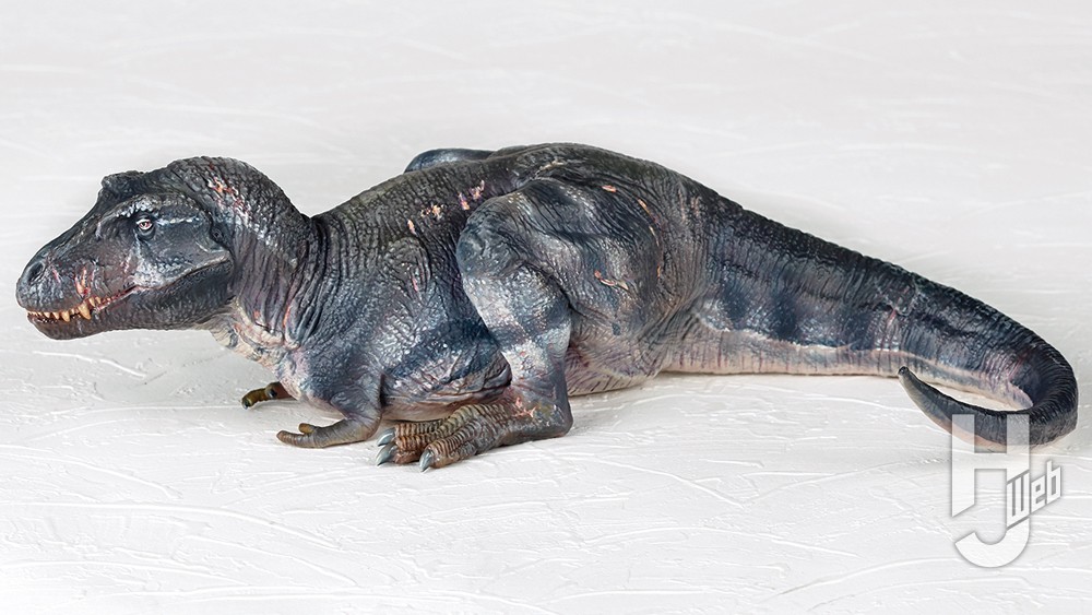 グレーカラーのティラノサウルスの画像
