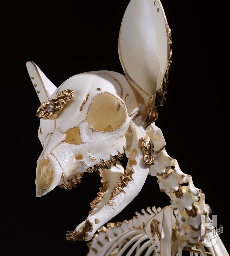 シン・ゴジラ』や『FF15』素材提供でもおなじみ骨オヤジによる美しい骨