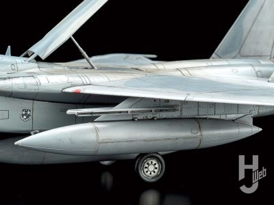 ファインモールド「アメリカ空軍 F-15D 戦闘機」作例 主翼および胴体下面