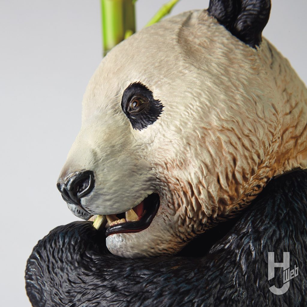 大熊猫の横顔の画像