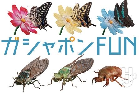 「いきもの大図鑑」最新作は12カ所可動のアゲハチョウ！そして“抜け殻”も再現できるミンミンゼミ【ガシャポン®最新情報】