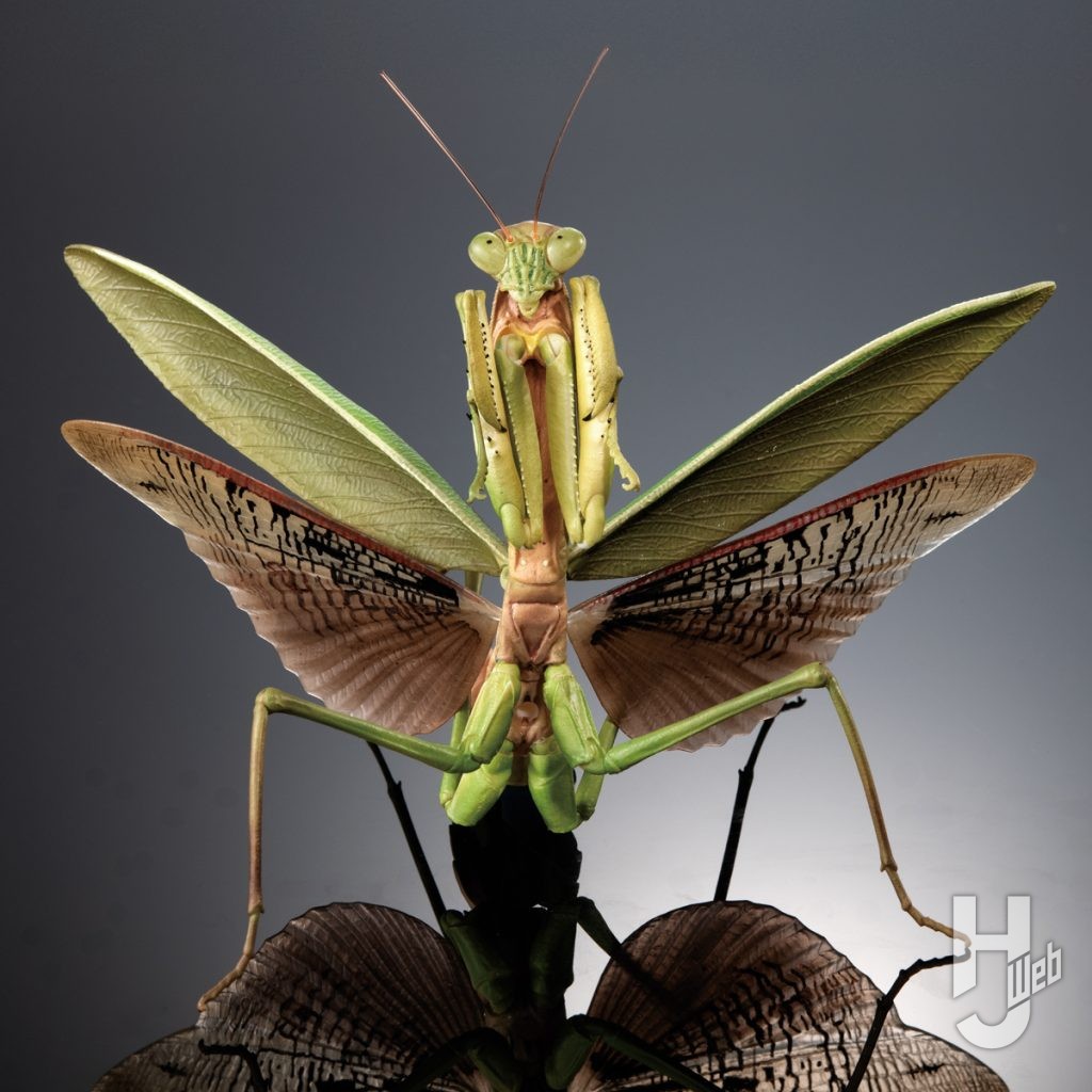 オオカマキリのカプセルトイの可動イメージの画像