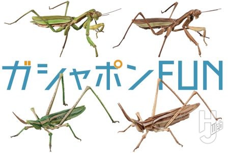 「いきもの大図鑑」最新作は巨大サイズのオオカマキリとショウリョウバッタ！ガシャポンオンライン版は後翅とディスプレイスタンドも付属【ガシャポン®最新情報】