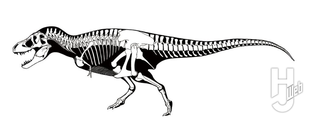 ティラノサウルス骨格図