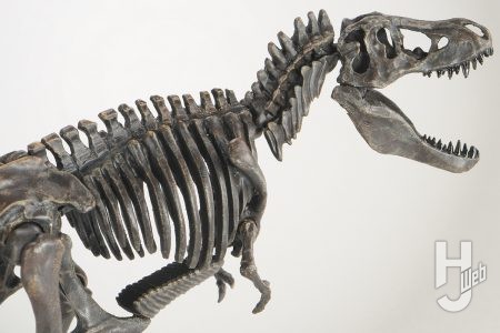 【新連載】「プラノサウルス復元プロジェクト」!ティラノサウルスを化石標本や骨格図をもとに工作&塗装!まるで本物のような仕上がりに!