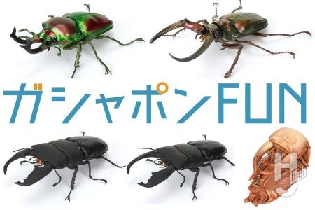 「いきもの大図鑑」最新作は人気のクワガタ!金属的な光沢の「ニジイロクワガタ」、大あごの「スマトラオオヒラタクワガタ」など7種がラインナップ【最新ガシャポン®情報】