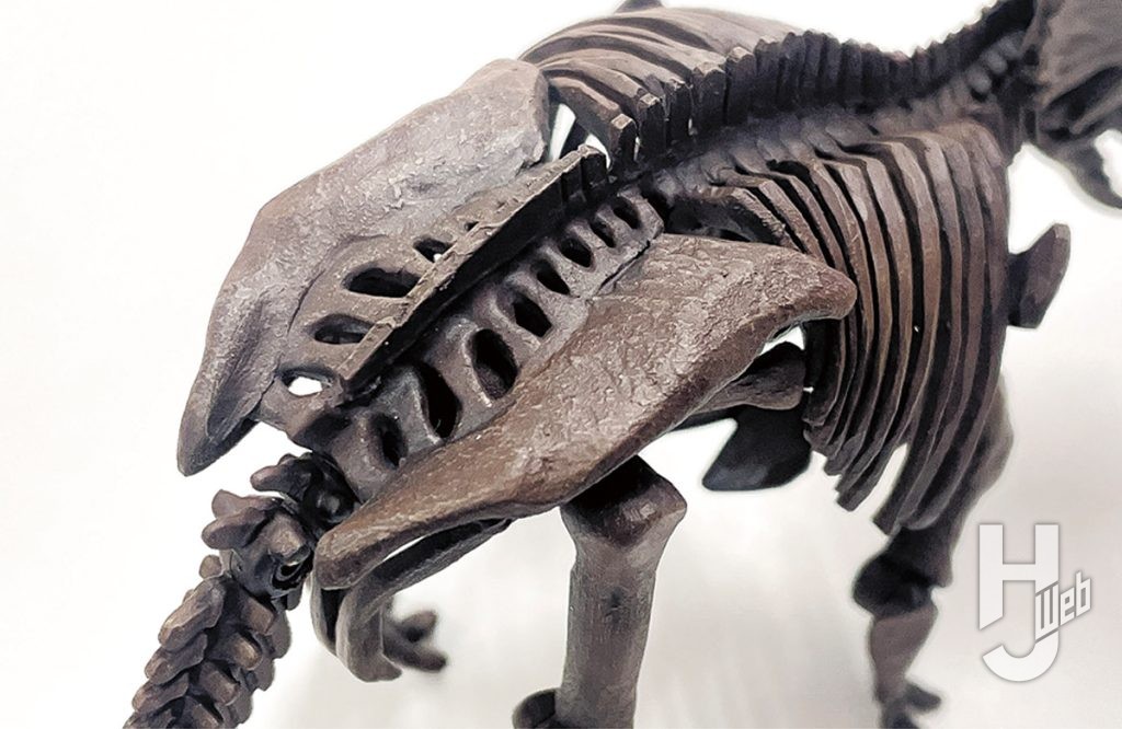 ウラベヒロト（アーミック） 製作「トリケラトプス」骨盤