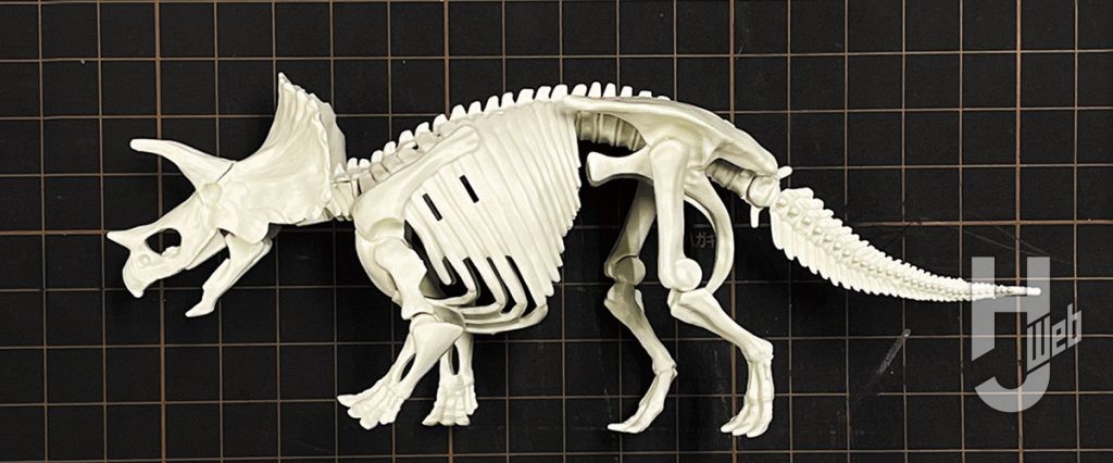 骨格図を基に素組みしたプラノサウルス　トリケラトプス