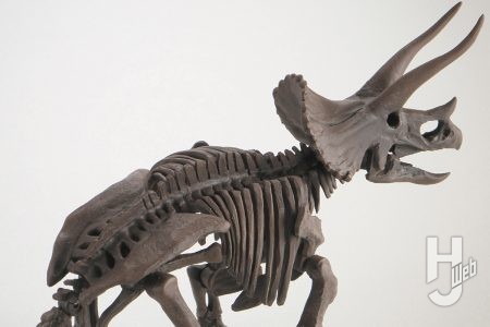 プラノサウルス「トリケラトプス」を化石標本を参考に工作&塗装し徹底改修! トリケラトプスの骨格本来の魅力を再現する!!【プラノサウルス復元プロジェクト】
