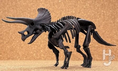 ウラベヒロト（アーミック） 製作「トリケラトプス」