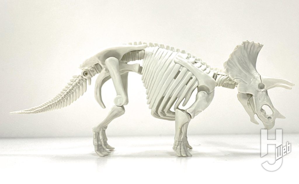 プラノサウルス　トリケラトプス骨格のみ