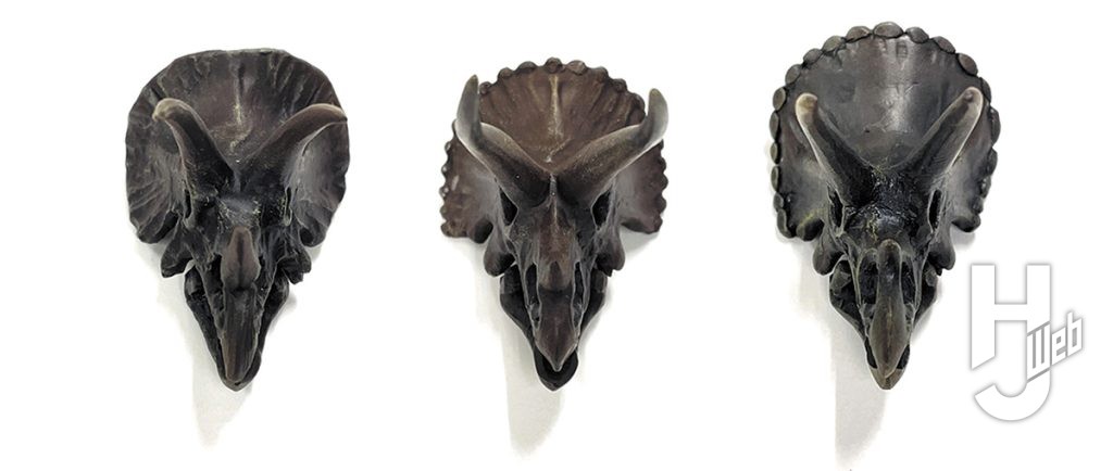 ウラベヒロト（アーミック） 製作「トリケラトプス」ホリドゥスとプロルススの頭蓋も製作正面