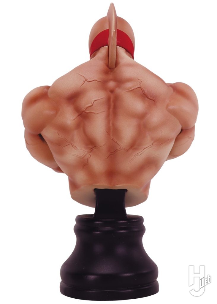 キン肉スグルの背面画像