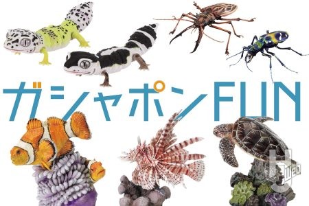 「いきもの大図鑑」シリーズ新作は、サンゴ礁に住む生き物たちが登場!レプティ最新作はレオパードゲッコーやアルマジロトカゲなど、大型のカミキリムシとハンミョウも【ガシャポン®最新情報】