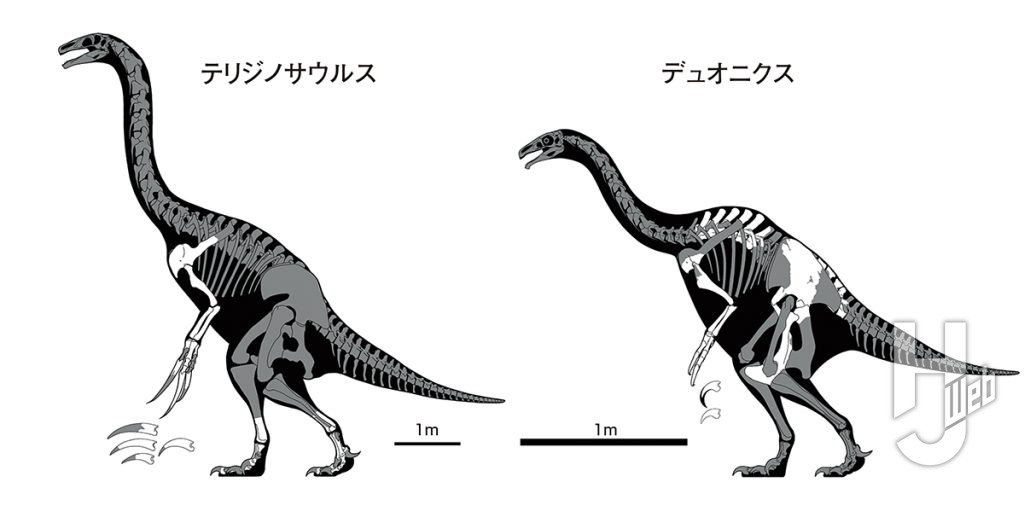 テリジノサウルスとデュオニクス骨格図