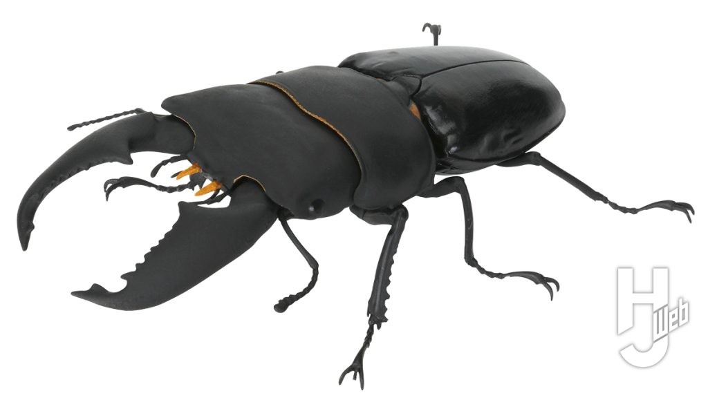 スマトラオオヒラタクワガタ（内歯下がり）のカプセルフィギュアの画像