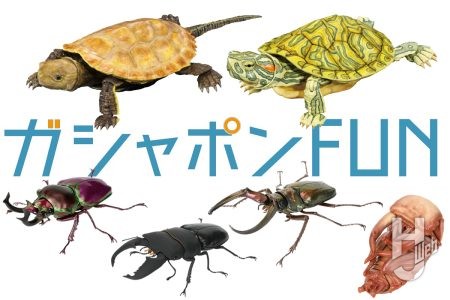「いきもの大図鑑」最新作「くわがた10」はニジイロクワガタなど、人気のクワガタが大集合!「アドバンス」からは幼体のカメ全4種【ガシャポン®最新情報】