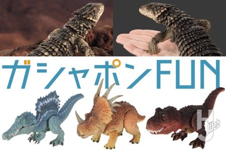 絶滅危惧種の「オオヨロイトカゲ」を実物大サイズでフィギュア化！／恐竜シリーズ第2弾に「スピノサウルス」と「スティラコサウルス」が新たに仲間入り【いきもの大図鑑】