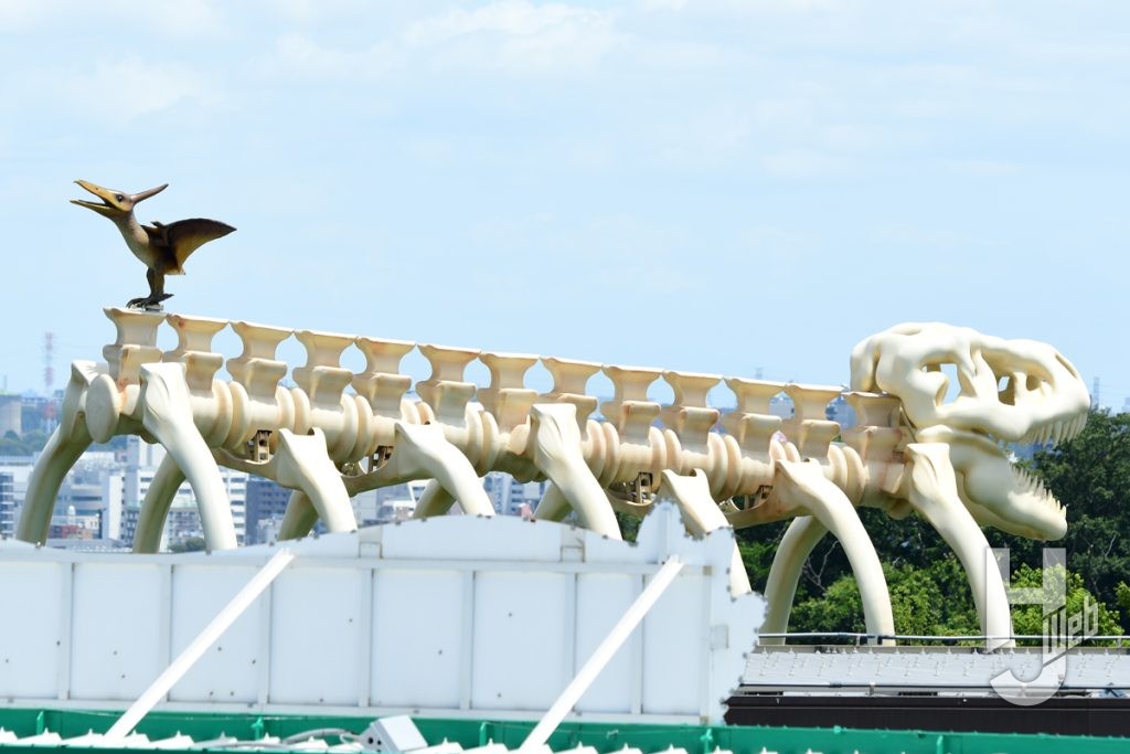 ディノランナー骨