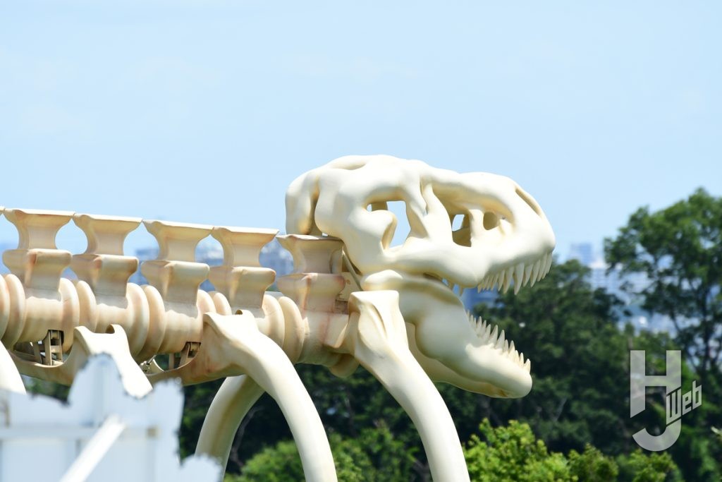 ディノランナー骨アップ
