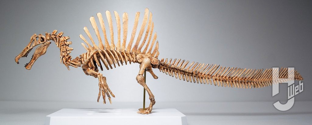 作例「プラノサウルス　スピノサウルス」