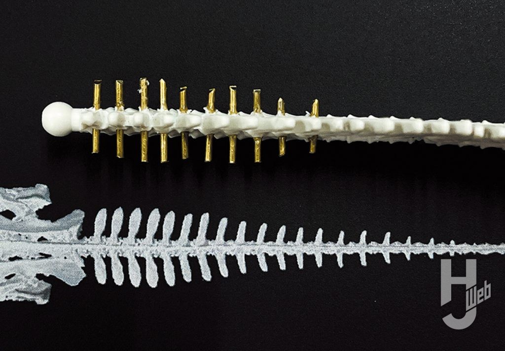「プラノサウルス　スピノサウルス」スピノサウルス骨格図と比較しながら製作途中尾っぽ2