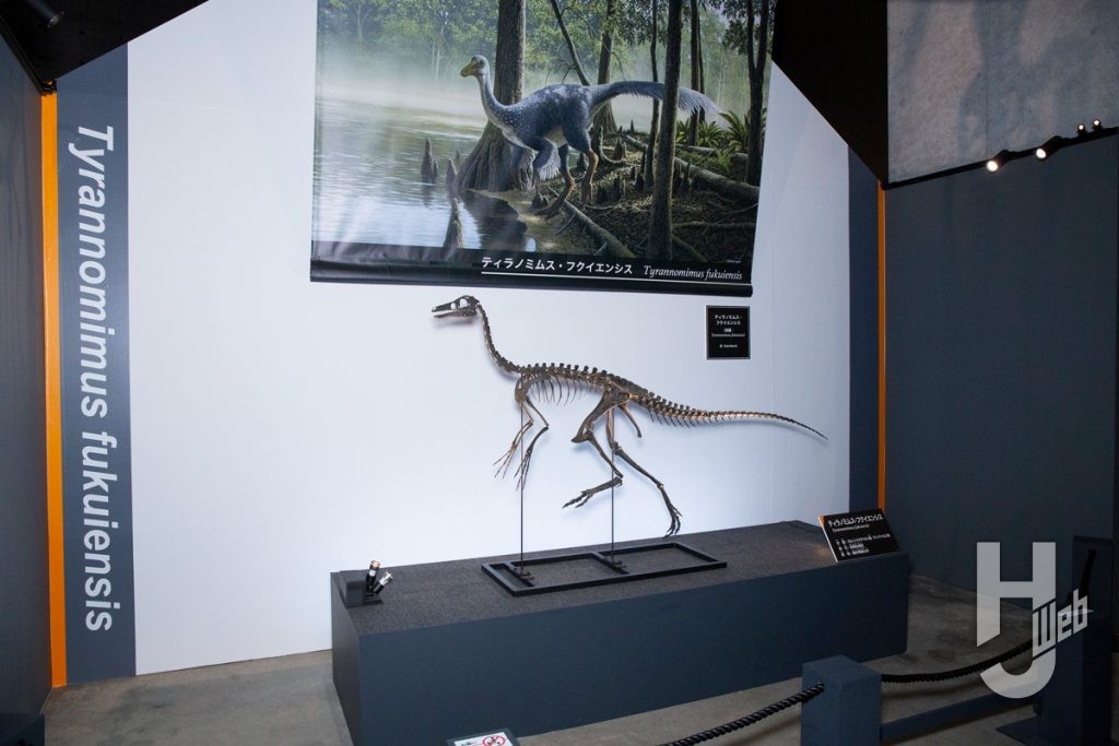 開館25周年記念特別展「獣脚類2025～「フクイ」から探る恐竜の進化～」
展示5