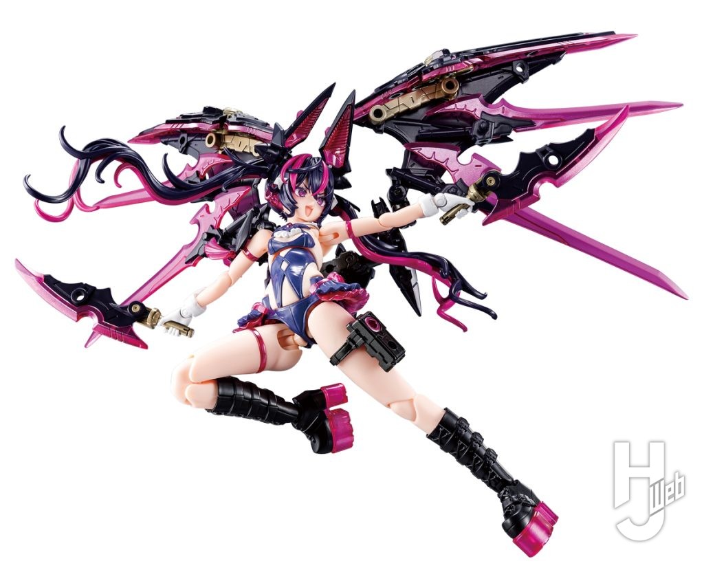 デザイアメイデン レイダー
