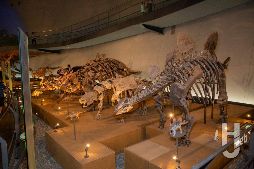 福井県立恐竜博物館　展示4