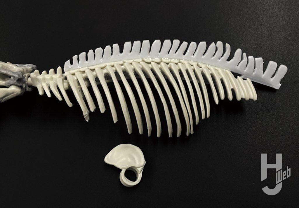 作例「プラノサウルス メガプテリギウス」製作途中背骨と肋骨接着