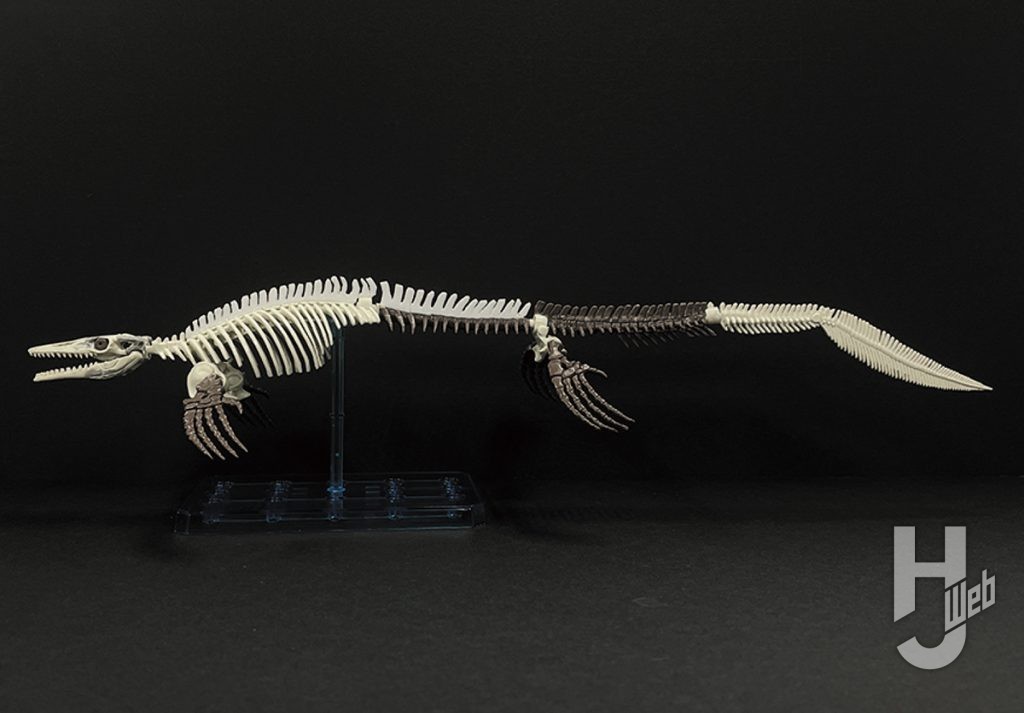 作例「プラノサウルス メガプテリギウス」製作途中別キットからひれ移植