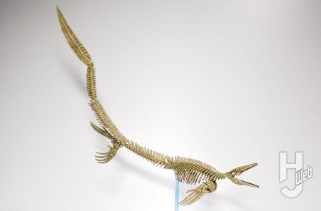 作例「プラノサウルス メガプテリギウス」