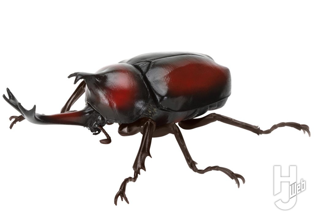 ヤマトカブトムシのカプセルトイの画像