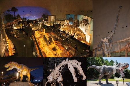 いま恐竜がアツい!日本を代表する恐竜施設「福井県立恐竜博物館」に行ってきた!! 恐竜イベントレポート in 福井&東京