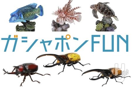 いきもの大図鑑「かぶとむし」第9弾は“亜種”に注目!鮮やかなサンゴ礁が特徴的なディスプレイモデルも新発売【ガシャポン®最新情報】