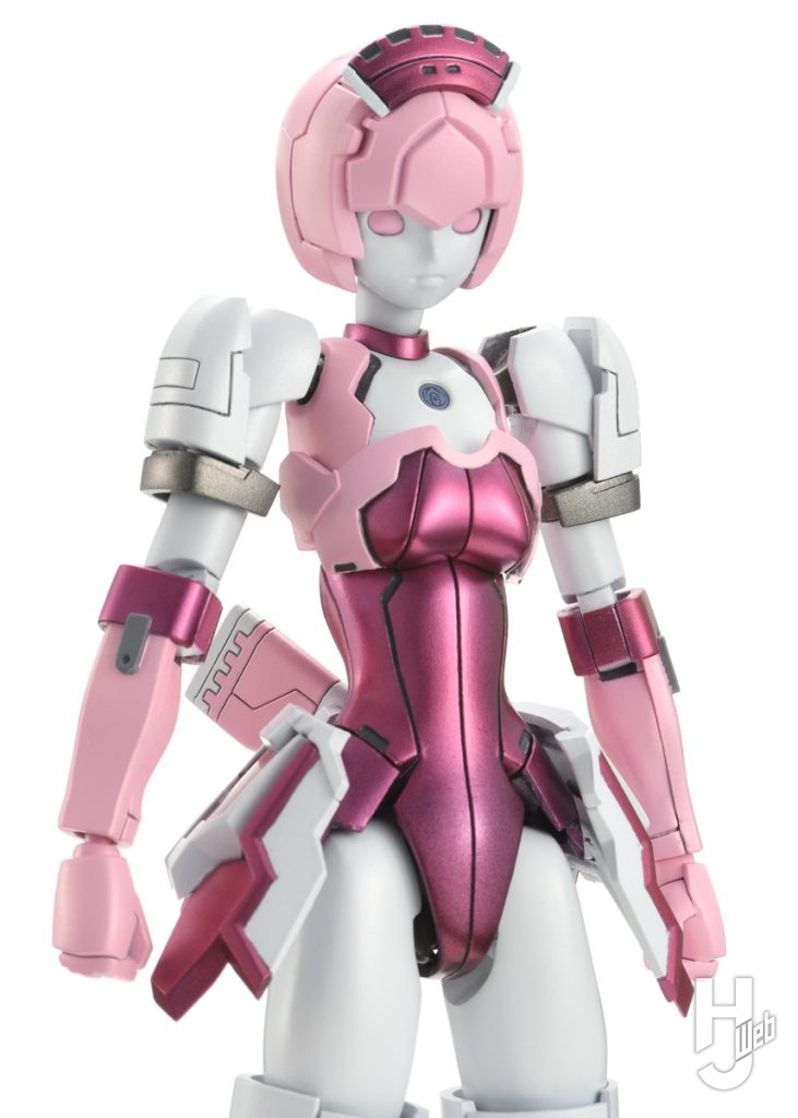 レイキャシールのプラモデルのアップ画像その1