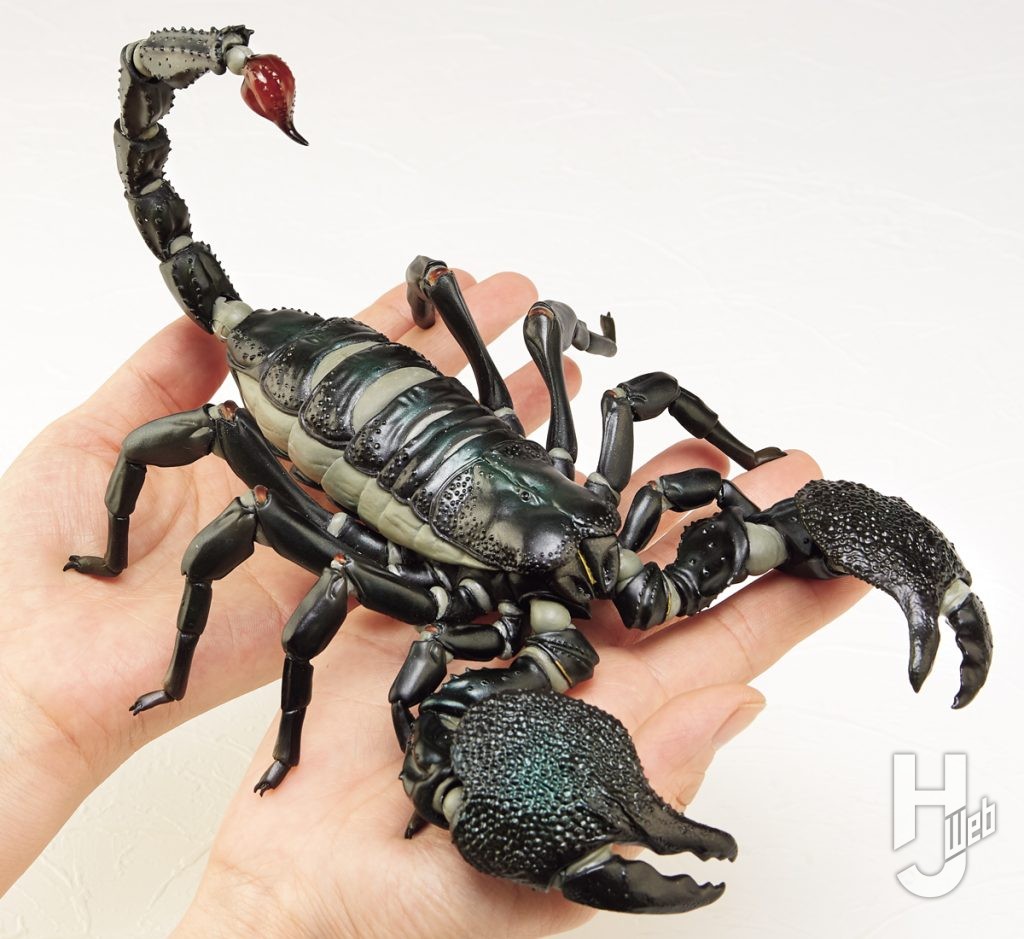 リボジオ ダイオウサソリの画像