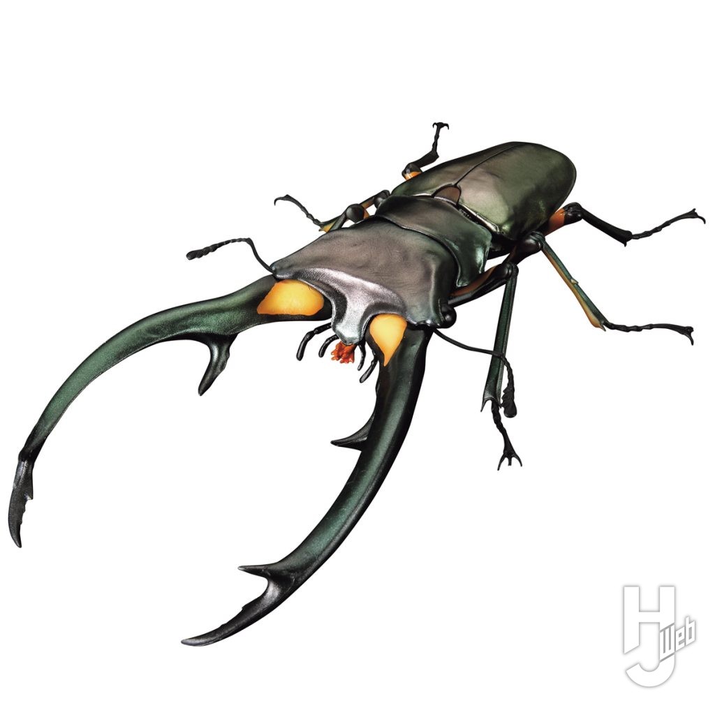 エラフスホソアカクワガタグリーンの画像