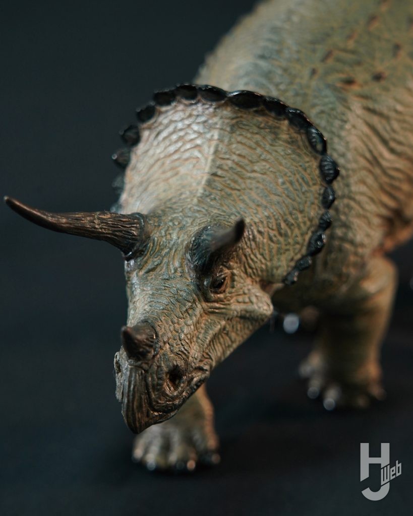 トリケラトプス(1/35スケール)
顔アップ