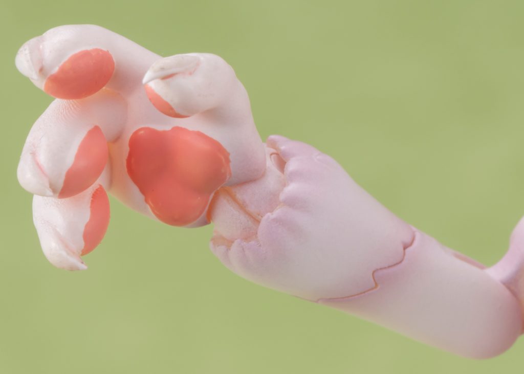 カオマニー高ケモのプラモデルの手のアップ画像