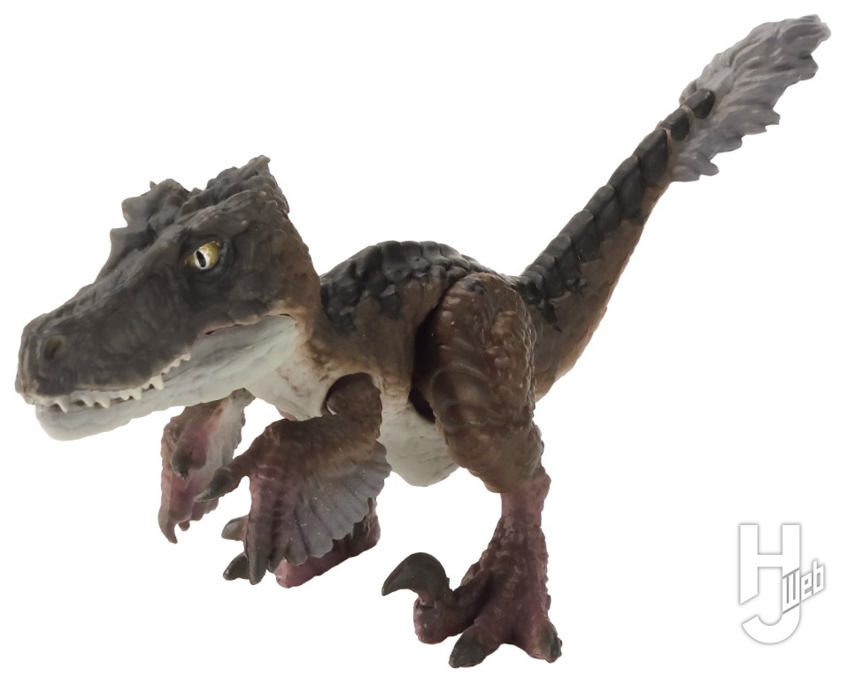 暗色のヴェロキラプトルのカプセルトイの画像